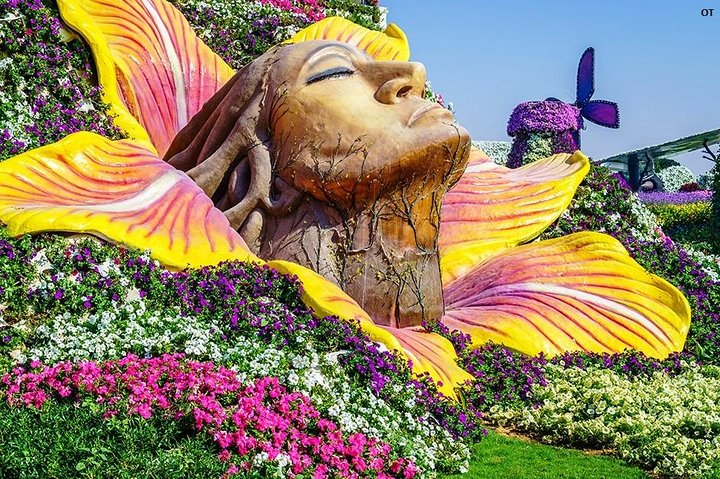 Discover stunning floral artistry and intricate sculptures nestled among millions of blooms at the Miracle Garden where nature and creativity unite for an unforgettable experience.